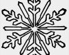 Mystery Shopping Fragebogen Vorlage Bewundernswert Best Snowflake Clipart 990 Clipartion