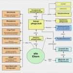 Nachhilfe Geben Aushang Vorlage Luxus Gemütlich Schüler Anwesenheitsliste Vorlage Zeitgenössisch