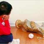 Nachmieter Gesucht Vorlage Erstaunlich Netto Einkommen Berechnen Netto Vom Brutto Berechnen Wer