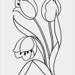 Nadelfilzen Vorlagen Kostenlos Süß Flower Page Printable Coloring Sheets