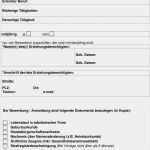 Namensänderung Vorlage Süß Bewerbung Anmeldung Für Das Schuljahr Bitte Gewünschtes