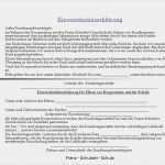 Namensänderung Vorlage Süß Schön formular Für Die Einverständniserklärung Der Eltern