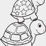 Namensschilder Basteln Vorlagen Schönste Vorlage Schildkröten Basteln