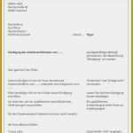 Nda Englisch Vorlage Angenehm 9 Kündigung Englisch Vorlage