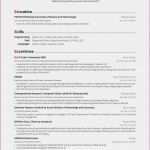 Nda Englisch Vorlage Beste Angebot Freelancer Vorlage Ghabon – Just Another Wordpress