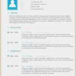 Nda Englisch Vorlage Hübsch 10 Lebenslauf Beispiel Englisch Texastriangle Emovoid