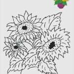 Nda Vorlage Deutsch Englisch Wunderbar 68 Angenehm Window Color Herbst Vorlagen Abbildung