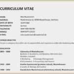 Nda Vorlage Englisch Angenehm 15 Englischer Lebenslauf