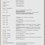 Nda Vorlage Englisch Inspiration 17 Tabellarischer Lebenslauf Englisch