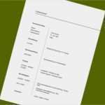 Nebenjob Bewerbung Vorlage Angenehm 21 Lebenslauf Vordruck Designvorlagen