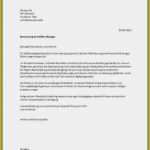 Nebenjob Bewerbung Vorlage Fabelhaft 12 Bewerbung Nebenjob Vorlage