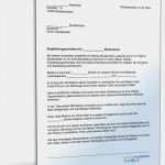 Nebenjob Genehmigung Arbeitgeber Vorlage Elegant Empfehlung Eines Schülers Muster Vorlage Zum Download