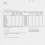 Nebenkosten Vorlage Angenehm Handbuch Excel Vorlage Nebenkosten Basis