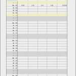 Netzwerkdokumentation Vorlage Excel Genial Vorlage Zur Dokumentation Der Täglichen Arbeitszeit Excel
