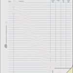 Netzwerkdokumentation Vorlage Pdf Erstaunlich 11 1arbeitszeiterfassung Vorlage