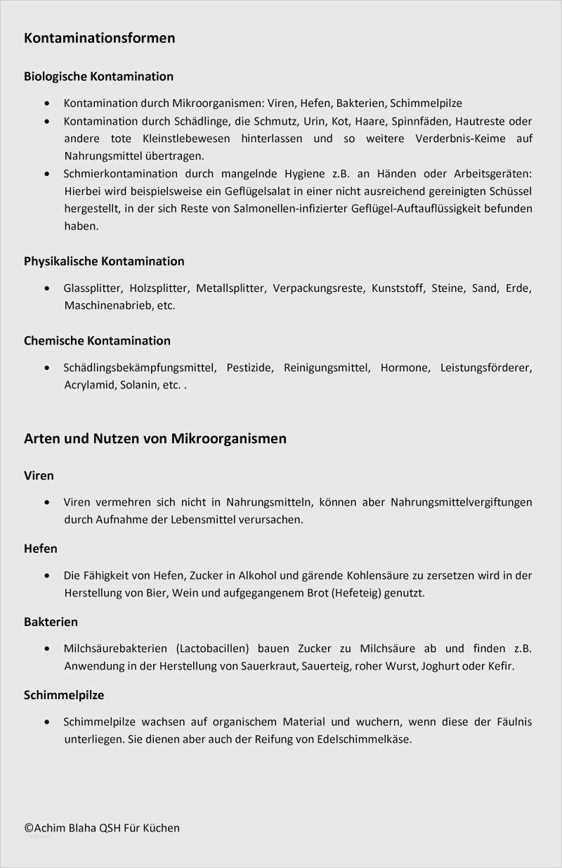 Netzwerkdokumentation Vorlage Word Neu Haccp Kuche Checkliste