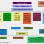 Netzwerkplan Vorlage Luxus 15 organigramm Vorlage Mac