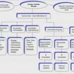 Netzwerkplan Vorlage Luxus 15 organigramm Vorlage Mac