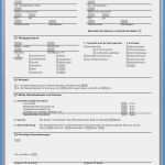 Neu De Kündigen Vorlage Schönste Selbstauskunft Mieter Vorlage Word Neu übergabeprotokoll