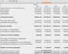 Neues Arbeitszeugnis Anfordern Vorlage Erstaunlich Cashflow Rechnung Mit Excel