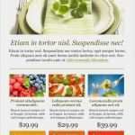 Newsletter Beispiele Vorlagen Elegant Essen Wein Und Restaurants Newsletter Vorlage – E Mail