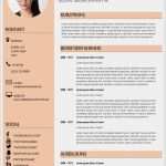 Newsletter Beispiele Vorlagen Erstaunlich Lebenslauf Moderne Vorlage