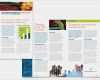 Newsletter Design Vorlagen Wunderbar Investment Securities Pany Newsletter Template Word