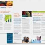 Newsletter Design Vorlagen Wunderbar Investment Securities Pany Newsletter Template Word