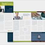 Newsletter Layout Vorlage Cool 29 Microsoft Newsletter Templates Free Word Publisher