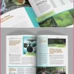 Newsletter Layout Vorlage Inspiration 57 Zeitung Vorlage Indesign Laurencopeland