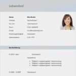 Newsletter Muster Vorlage Bewundernswert Lebenslauf Vorlage Account Manager