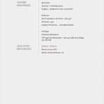 Newsletter Muster Vorlage Cool Lebenslauf Muster 12