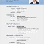 Newsletter Muster Vorlage Erstaunlich Lebenslauf Vorlage Muster 10 Bewerbungswissen