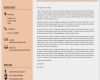 Newsletter Muster Vorlage Wunderbar Lebenslauf Moderne Vorlage
