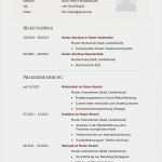 Newsletter Schreiben Vorlage Elegant Lebenslauf Muster Für Führungskraft