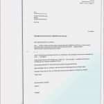 Newsletter Schreiben Vorlage Erstaunlich Kundigung O2 Vertrag Vorlage Quittung Miete Vorlage 2018