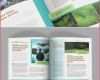 Newsletter Vorlage Indesign Gut 57 Zeitung Vorlage Indesign Laurencopeland