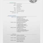 Newsletter Vorlage Kostenlos Genial Lebenslauf Vorlage 38 Bewerbungsschreiben