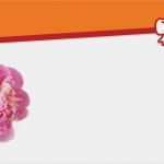 Newsletter Vorlagen Kostenlos Fabelhaft Bunte Blumen Gutschein Vorlagen Und Vordrucke Auf