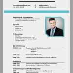 Newsletter Word Vorlage Wunderbar Tabellarischer Lebenslauf Vorlagen & Muster Übersicht