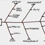 Niceday Etiketten Vorlage Word Genial ishikawa Diagram