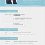 Nicht Tabellarischer Lebenslauf Vorlage Fabelhaft Niedlich Management Lebenslauf Vorlagen Zeitgenössisch