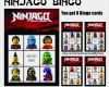 Ninjago Einladungskarten Vorlage Wunderbar Ninjago Einladungskarten Vorlage