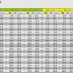 Notenberechnung Excel Vorlage Neu tolle Schüler Notenblatt Vorlage Zeitgenössisch