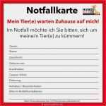 Notfall Und Alarmplan Vorlage Word Erstaunlich Notfallkarte Haustier