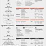 Notfallplan Muster Vorlage Großartig Schön Es Notfallplan Vorlage Ideen Beispiel Anschreiben