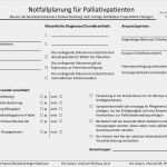 Notfallplan Vorlage Kostenlos Erstaunlich Ausgezeichnet Es Notfallplan Vorlage Galerie Beispiel