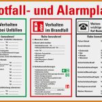 Notfallplan Vorlage Word Genial 8 Muster Notfallplan
