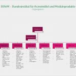 Nub Antrag Vorlage Luxus Bfarm