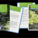 Nub Antrag Vorlage Schönste Achtsamkeit In Der Natur Stiftung Silviva